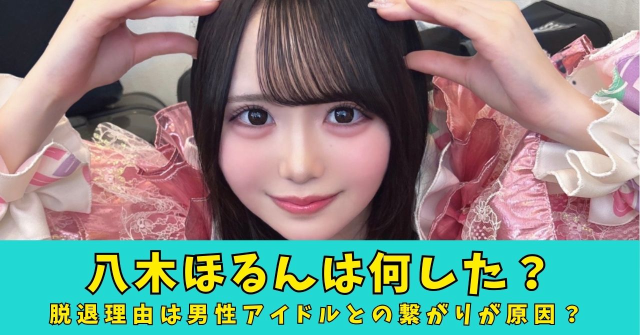 八木ほるん　何した